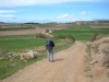 Camino vor Viana